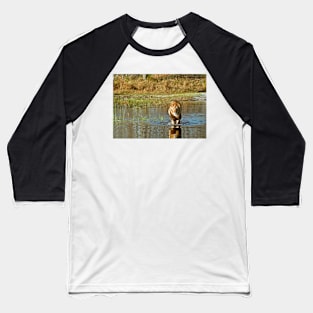 Lion crossing river Baseball T-Shirt